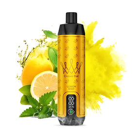 al fakher vape - 15000 pro - lemon mint