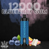 Al Fakher Vape 12000 - blueberry gum - alfakher-evape.com